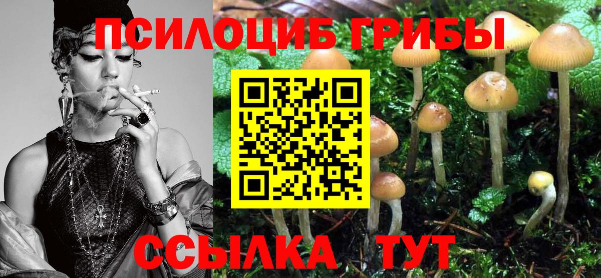 Галлюциногенные грибы GOLDEN TEACHER  купить  цена  Павлово  Вход с VPN 