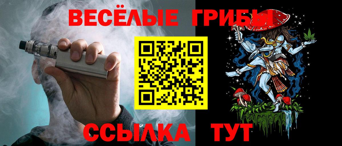 Галлюциногенные грибы Cubensis Павлово